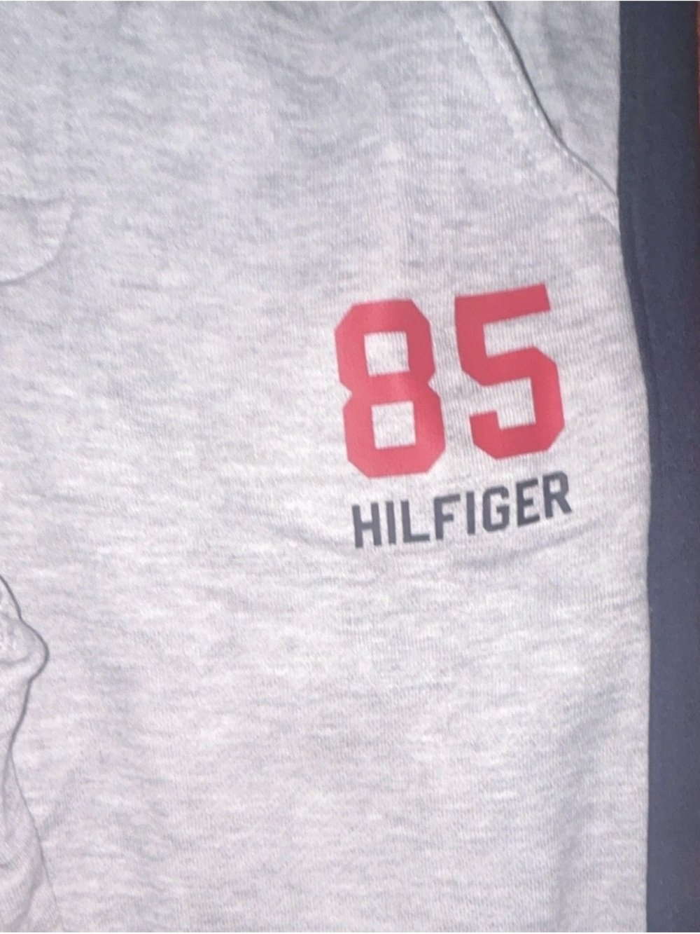 Tommy Hilfiger Kids Light Gray Sweatpants with Red "85" Graphic
